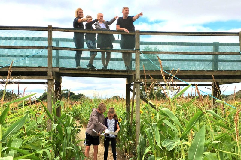 Wistow Maze